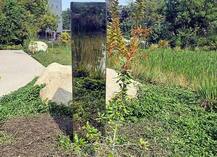 અમદાવાદના ગાર્ડનમાં મોનોલીથ મળી આવતાં કૂતુહલ, ફોટો પડાવવા લોકોએ કરી પડાપડી