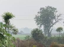 હવામાન વિભાગની આગાહી પ્રમાણે ગુજરાતના કયા કયા જિલ્લાના વાતાવરણમાં આવ્યો પલટો?