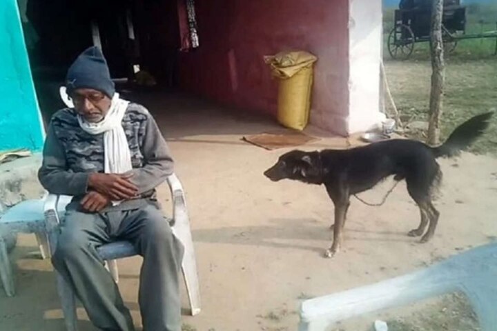 saddened by the sons behavior the farmer gave half the property to his pet dog MPનો અનોખો કિસ્સોઃ દીકરાના વ્યવહારથી દુખી થઈને ખેડૂતે પોતાની અડધી સંપત્તિ કુતરાના નામે કરી દીધી