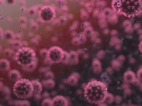 આ દેશમાં કોરોનાનો નવો સ્ટ્રેન છે એકદમ અલગ, વેક્સિન કામ નહીં કરે, વૈજ્ઞાનિકોએ શું કહ્યું