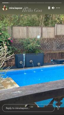 મીરા કપૂરે શેર કરી બંધ રૂમની શાહિદ કપૂર સાથેની રોમેન્ટિક તસવીર, સાથે બિકીની ફોટો પણ વાયરલ