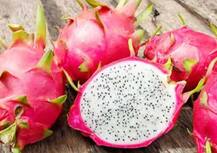 રૂપાણીએ જેનું નામ કમલમ કરી નાંખ્યું એ ડ્રેગન ફ્રુટ મૂળ ક્યાંનું છે ? જાણો ખાવાથી શું શું થાય છે ફાયદા ?