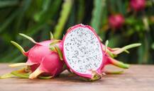 Health Tips: ओमेगा-3 से भरपूर ड्रैगन फ्रूट रखे आपके दिल का ख्याल, जानिए फायदे
