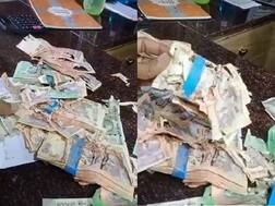 વડોદરાઃ લોકરમાં મુકેલી 2.20 લાખ રૂપિયાની નોટો ઉધઈ ખાઈ ગઇ, BOBએ કરી સ્પષ્ટતા