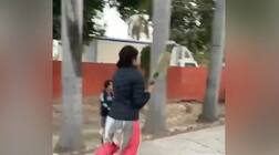 કઇ હૉટ એક્ટ્રેસને ક્રિકેટનો ચસ્કો લાગ્યો તે શૂટિંગ છોડીને છોકરાઓ સાથે ગલી ક્રિકેટ રમવા લાગી, વીડિયો વાયરલ