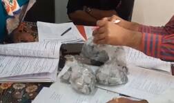 Vadodara: અપક્ષ ઉમેદવારે ડિપોઝીટ પેટે એક-એક રૂપિયાના ત્રણ હજાર સિક્કા જમા કરાવતા અધિકારીઓ પણ મુકાયા આશ્ચર્યમાં