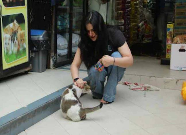 જરીન માર્કેટમાં શોપિંગ માટે આવી હતી પરંતુ અહીં તેને એક ખાસ વસ્તુ મળી ગઈ હતી. જરીન માર્કેટમાં એક બિલાડી સાથે રમતી જોવા મળી હતી.