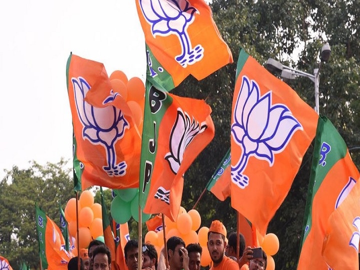 BJP's victory before local body elections, 219 candidates declared uncontested નીતિન પટેલના શહેરમાં ભગવો લહેરાયો, ગુજરાતમાં કુલ 219 ઉમેદવારો બિનહરીફ જાહેર