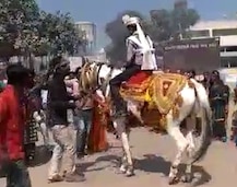 Patan : વરઘોડામાંથી વરરાજાને લઈને ઘોડો ભાગ્યો, જાનૈયા પાછળ દોડ્યા ને....., વીડિયો વાયરલ