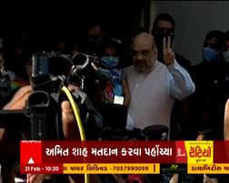અમિત શાહે અમદાવાદમાં ભાજપના ક્યા ટોચના પાટીદાર આગેવાન સાથે જઈને કર્યું મતદાન ?