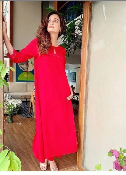 (PHOTO CREDIT- DIA MIRZA INSTAGRAM)