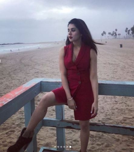 વેબ સીરિઝ ઉપરાંત તેણે લવ સ્ટોરી, વક્ત બતાયેગા કૌન અપના કૌન પરાયા, શકુંતલા અને લેડી સ્પેશિયલ જેવા ટીવી શોઝમાં પણ કામ કર્યુ છે.