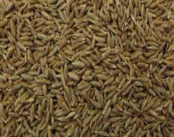 Health Tips;પેટ ફુલી જવાની સમસ્યાથી પરેશાન છો? જીરૂનું આ રીતે કરો સેવન, થશે અદભૂત ફાયદો