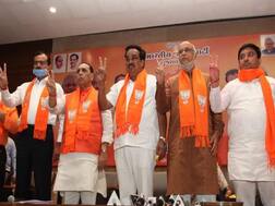 Gujarat Election 2021 Results: ઈતિહાસમાં પહેલી વખત આ બે જિલ્લા પંચાયત પર ભાજપનો ભગવો લહેરાયો, જાણો વિગતે