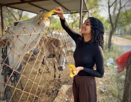 ટીમ ઈન્ડિયાનો ફાસ્ટ બોલર જસપ્રીત બુમરાહ દક્ષિણ ભારતની જાણીતી એક્ટ્રેસ અનુપમા પરમેશ્વરન સાથે લગ્ન કરવાની અટકળો થઈ રહી છે. બંનેએ તેમના કામમાંથી બ્રેક લીધો હોવાથી અટકળોને વેગ મળ્યો છે. આ દરમિયાન એક્ટ્રેસે સોશિયલ મીડિયા પર કરેલી પોસ્ટ વાયરલ થઈ છે.