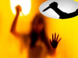 हरदोई: शराब पीकर घर आया पति, पत्नी ने गला काट कर मार डाला हरदोई: शराब पीकर घर आया पति, पत्नी ने गला काट कर मार डाला