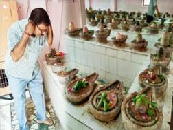 इस अनूठे मंदिर में लगती है भोलेनाथ की अदालत, जानें क्यों कान पकड़कर उठक-बैठक लगाते हैं भक्त