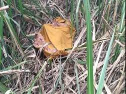 कब्र से बाहर निकालकर महिला के शव के साथ हैवानियत, काट दिए हाथ-पैर