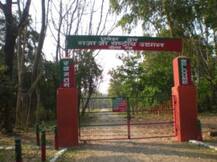 मशहूर राजाजी नेशनल पार्क पर्यटकों के लिये खुला, भारी संख्या में सैलानी पहुंचे