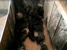 होमगार्ड ड्यूटी घोटाले के दस्तावेज जलने की जांच करने फॉरेसिंक टीम नोएडा पहुंची