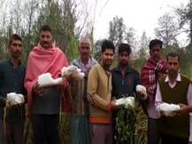 उत्तर प्रदेश में बदला मौसम का मिजाज, कई इलाकों में बारिश के साथ हुई ओलावृष्टि