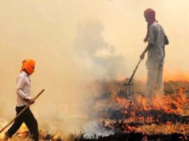Case filed against five farmers for burning stubble in Shamli शामली में पराली जलाने के आरोप में पांच किसानों पर मामला दर्ज, प्रशासन का रवैया सख्त