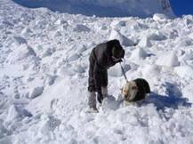भारी बर्फबारी की वजह से फंसे आईटीबीपी के जवान, एयरफोर्स की ली जाएगी की मदद