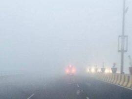 शीतलहर का प्रकोप, कोहरे की चादर से ढका पूरा उत्तर भारत;यूपी में बुरा हाल Dense fog covered delhi ncr brings zero visibility शीतलहर का प्रकोप, कोहरे की चादर से ढका पूरा उत्तर भारत;यूपी में बुरा हाल