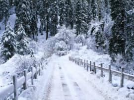 ITI's one student died in Uttarkashi after stuck on Snow fall उत्तराखंड: पहाड़ों में बर्फबारी का कहर, राड़ीघाटी में फंसे आइटीआई के एक छात्र की ठंड से मौत