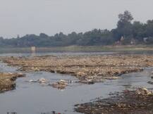 स्पेशल रिपोर्ट: दम तोड़ रही है आगरा की जीवन रेखा 'यमुना', स्नान तो दूर आचमन लायक भी नहीं है पानी