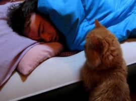 Astro Friend Shashishekhar Tripathi on Dreams in Samay Chakra ABP Ganga सपने में बिल्ली या चांद दिखे तो जानिए क्या होने वाला है ?