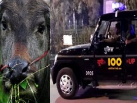 ayodhya police lodged fir against 18 month old child in buffalo theft case यूपी पुलिस का कारनामा, 18 महीने के बच्चे के खिलाफ भैंस चोरी का मुकदमा किया दर्ज