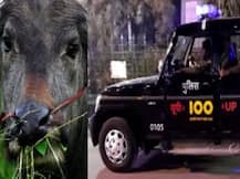 यूपी पुलिस का कारनामा, 18 महीने के बच्चे के खिलाफ भैंस चोरी का मुकदमा किया दर्ज