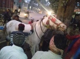 Horse scared by DJ sound in baraat including groom many barati injured in jaunpur बारात में DJ वाले बाबू के गाने की आवाज सुन बिदका घोड़ा, फिर दूल्हे और बारातियों के साथ हुआ कुछ ऐसा