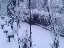 fresh snowfall in mussoorie temperature falls schools closed सफेद चादर से ढका मसूरी, बढ़ी ठंड; खुशी में झूमे पर्यटक; ताजा बर्फबारी की देखें तस्वीरें