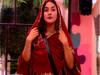 Bigg Boss 13: Shehnaaz Gill के फैंस को लगा बड़ा झटका, बेघर हुईं पंजाब की कैटरीना