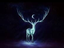 मृगशिरा नक्षत्र के लोगों में होते हैं खास गुण, कभी न करें ये काम नहीं तो भुगतने पड़ सकते हैं गंभीर परिणाम