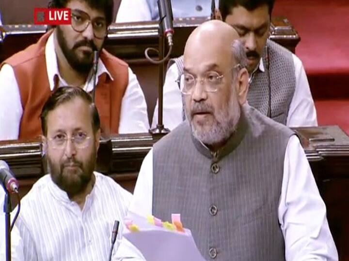 दिल्ली दंगे पर बोले अमित शाह, CAA को लेकर मुसलमानों के मन में बैठाया गया डर