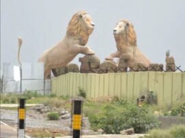 Corona Virus in India Kanpur-Lucknow Zoo closed Corona Virus In India इटावा लायन सफारी..लखनऊ-कानपुर के चिड़ियाघर 23 मार्च तक बंद..