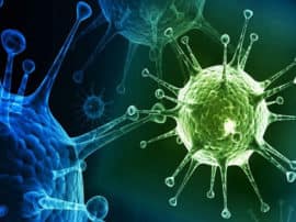 Coronavirus india शामली में कोरोना के पांच नए केस मिलने से हड़कंप, सभी तब्लीगी जमात से जुड़े हैं