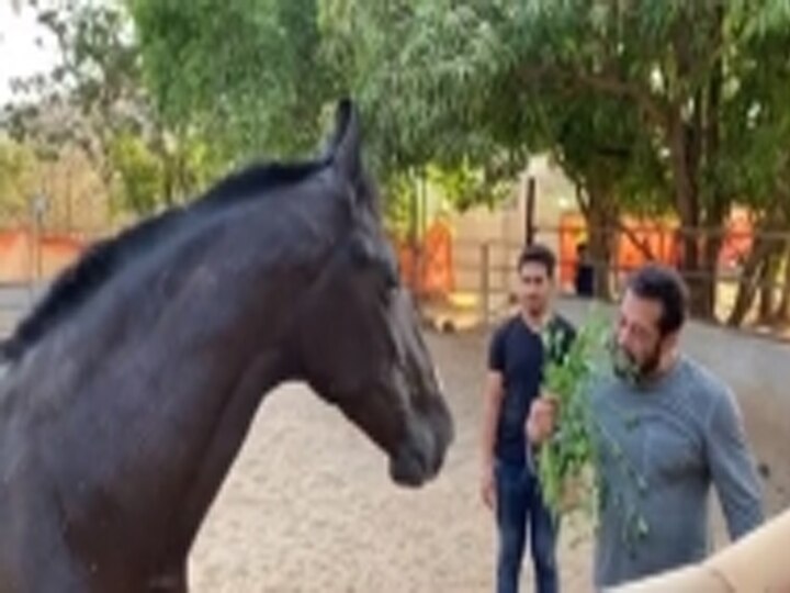 Bollywood Superstar Salman Khan cleans his Panvel farmhouse with Iulia Vantur सलमान खान ने पर्यावरण दिवस पर अपने फार्महाउस की सफाई की