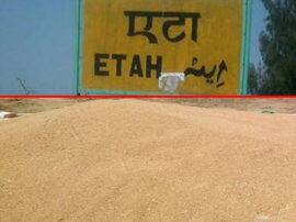 Coronavirus effect on wheat purchase in Etah एटा में गेंहू खरीद पर कोरोना की काली छाया, तीन दिन में केवल इतनी ही हो सकी खरीद