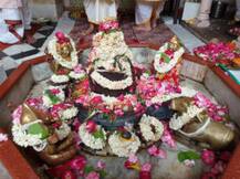 मथुरा से लॉकडाउन में हुई अनोखी पूजा, घर बैठ लोगों ने किया रुद्राभिषेक