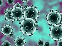 बढ़ती जा रही है कोरोना मरीजों की संख्या, 13 और लोग पॉजिटिव पाए गए