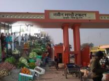 जानवरों को सब्जियां खिलाने पर मजबूर किसान, प्रशासन के नए नियम से बिक्री पर असर; नवीन मंडी बंद करने का किया ऐलान