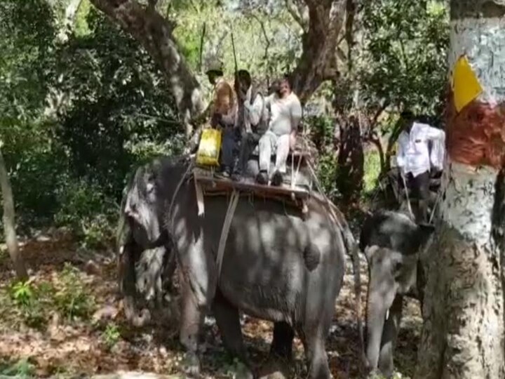 घात लगाए बैठे बाघ का जानलेवा हमला, तीन किसान घायल;वन विभाग की टीम ने शुरू किया रेस्क्यू ऑपरेशन