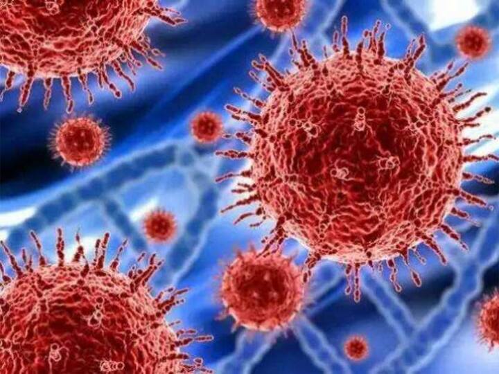 Kannauj में दो दिन में 10 कोरोना मरीज मिलने से हड़कंप, मुंबई से लौटे थे सभी In Kannauj 10 coronavirus positive patients found in two days all return from mumbai Kannauj में दो दिन में 10 कोरोना मरीज मिलने से हड़कंप, मुंबई से लौटे थे सभी