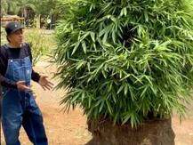 Dharmendra फैंस से बात करते वक्त क्यों हो गए थे इमोशनल, बोले- आदत हो चले हैं आप मेरी