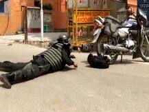 अयोध्या: सुरक्षा का जायजा लेने के लिए पुलिस ने की मॉक ड्रिल, नकली बम लेकर पेड़ चढ़ गया बंदर