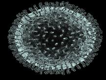 उत्तराखंड में कोरोना के मिले 25 नए केस, महाराष्ट्र से लौटे अधिकतर प्रवासी संक्रमित